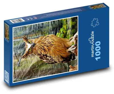 Produktbild von Puzzle 1000 Eule im Wald - martinpuzzle