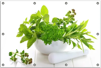Produktbild von Wallario Outdoor-Poster für Garten oder Balkon, Motiv Welt der Kräuter - verschiedene Kräuter in einem weißen Mörser, in ca. 80 x 120 cm