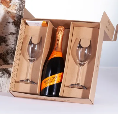 SILWY Prosecco Set - 2 x Kristallgläser + Metall-Nano-Gel-Pads + Prosecco 0,75L - Geschenkbox