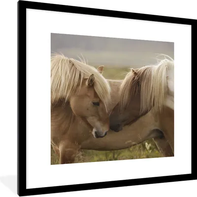 Produktbild von MuchoWow® Gerahmtes Poster Pferde - Gras - Braun 40x40 cm - Poster mit Schwarzem Bilderrahmen Wandposter Rahmen Foto Bilder - Poster - Plakat im Rahmen
