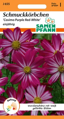 Artikelbild 1 von 'Cosmea Rot - Weiß' aus der Kategorie Cosmeasamen