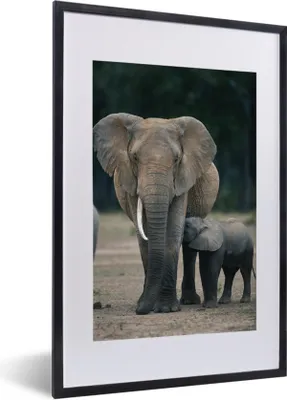 Produktbild von MuchoWow® MuchoWow® Gerahmtes Poster Elefant - Tiere - Flachland - Natur 40x60 cm - Poster mit zchwarzem Bilderrahmen - Poster in Rahmen
