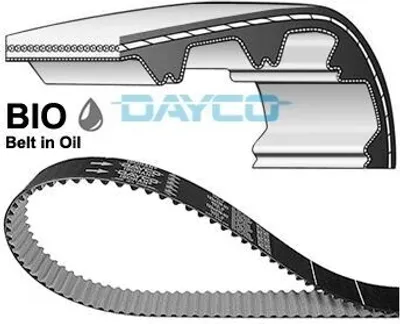 Produktbild von DAYCO 941092 Zahnriemen für FORD Fiesta Mk6 Schrägheck (JA8, JR8) 116-Zähne