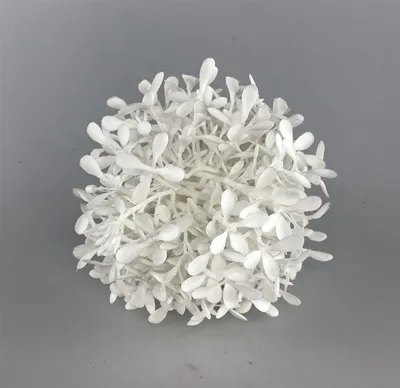 Produktbild von Formano Teeblattball 12 weiss          666420