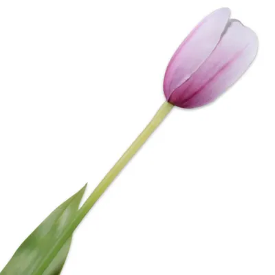 Produktbild von Silk-ka Seidenblume Tulpe Rosa Weiß (82cm)