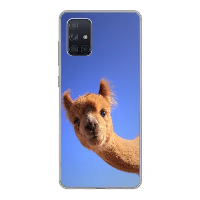 Produktbild von MuchoWow® Handyhülle Schutzhülle Hülle für Samsung Galaxy A51 5G Alpaka - Braun - Blau Silikon Softcase Handy Hülle - Abbildung