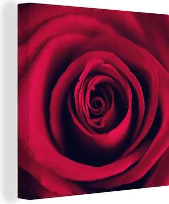 Produktbild von MuchoWow® - Leinwandbilder - Rosen - Rot - Blumen, Wandbild, Wanddeko Bilder Wohnzimmer, 90x90 cm