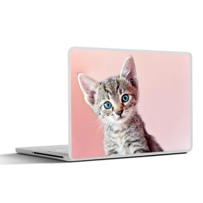 Produktbild von MuchoWow® Laptop Aufkleber Sticker Cover Kätzchen - Blau - Rosa 36.5x27.5 cm - Laptop-Sticker