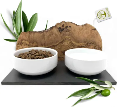 A pet food and water station with two white bowls on a dark slate base, decorated with olive branches and a piece of wood.