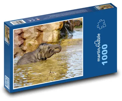 Zdjęcie produktu dla Puzzle 1000 Słoniątko nad brzegiem wody - martinpuzzle