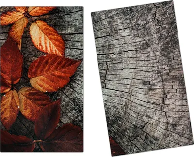 Produktbild von Spritzschutz Herdabdeckplatte Schneidebrett aus Glas Herbstblätter auf Stamm 2-Teilig (60x52cm)