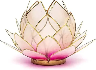 Immagine prodotto di Loto rosa chiaro/rosa chiaro con finiture dorate grandi -- 15x105 cm - 15x10,5 cm