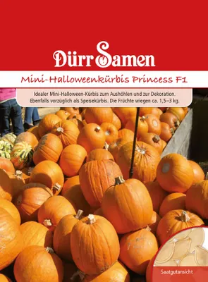 Produktbild von Mini-Halloween-Kürbis Harvest Princess F1 | Halloween-Kürbissamen von Dürr Samen