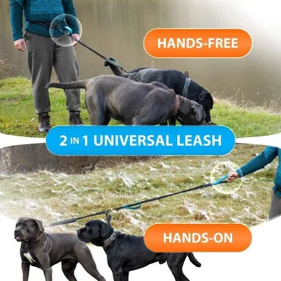 Produktbild von Ibenzoa® Hunde-Bauchriemen – verstellbarer Nylon-Bauchgurt mit Metallschnalle und reflektierenden Nähten, robust und leicht zu reinigen