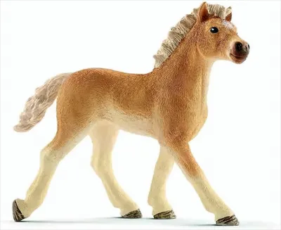 Obrázek produktu pro Schleich 13814 - Hříbě haflinga
