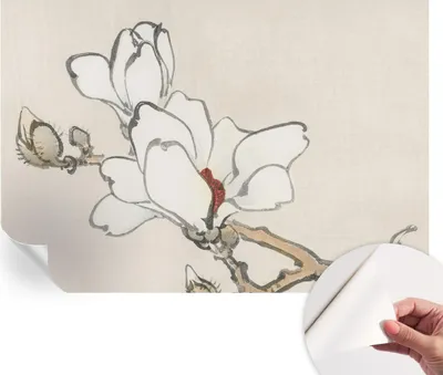 Produktbild von Selbstklebende Wandtapete - Dekorative Tapete für Wohnzimmer - Klebefolie für Wandbilder - Tapetenfolie für Wanddekoration - 152x104 cm - Zarte Magnolien