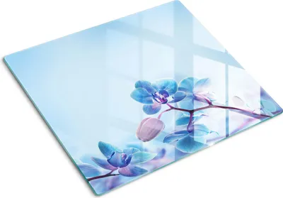 Produktbild von Glasplatte zum Schutz der Kochfläche – Abdeckung für die Kochplatte – Abdeckung für Induktionskochfelder – 60x52 cm – Einfache Reinigung – Gehärtetes Glas – Tropische Orchideen