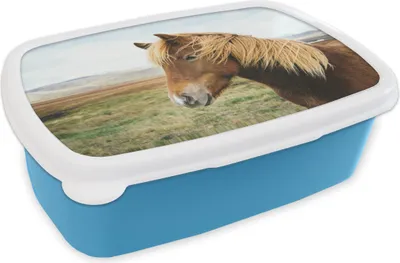 Obrázok produktu pre KitchenYeah® Lunchbox Lunchbox 17x11 cm Horse - Nature - Iceland Kids Snack Box - Lunch - Plastic - Bread Box - Sandwich Box - Lunchbox pre deti