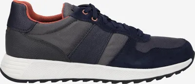 Immagine prodotto di Geox U Molveno A, scarpe stringate grigie, taglia 41