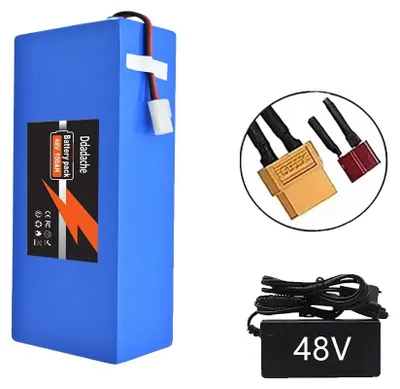 Image de Batterie, capacité de 100 Ah, système de gestion de batterie (BMS) intégré, chargeur XT60-T