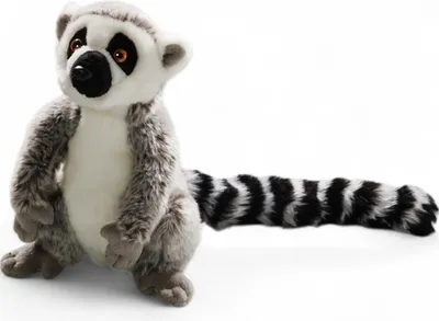 A plush toy lemur is sitting on a white background.