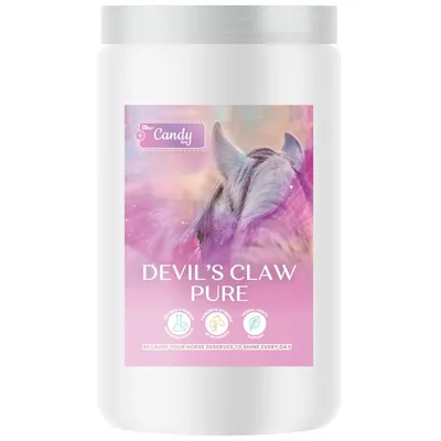 Immagine prodotto di BIOFEED Devil's Claw Pure – mangime complementare per cavalli, 900 g