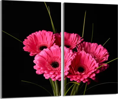 Obrázek produktu pro Skleněný keramický kryt varné desky 2 kusy 30x52, Gerbera Pink