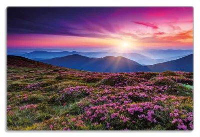Produktbild von Wallario Frühstücksbrettchen aus Glas 20 x 30 cm mit rutschfesten Füßen, Motiv Blumenbedeckte Wiese bei Sonnenuntergang