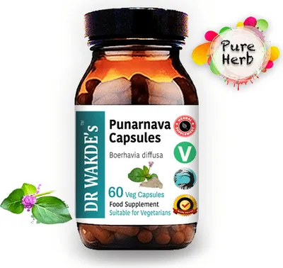 Produktbild von DR WAKDE'S Punarnava Kapseln (Boerhavia diffusa) | 60 Vegi Caps | Ayurveda-Supplement | Vegan | 100% Kräuter | Mengenrabatte | Am selben Tag Versand
