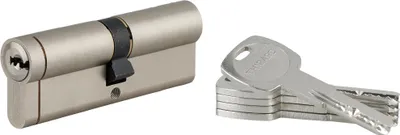 Image de Cylindre de serrure débrayable Transit 1, 45x50mm, 5 clés, nickelé - THIRARD