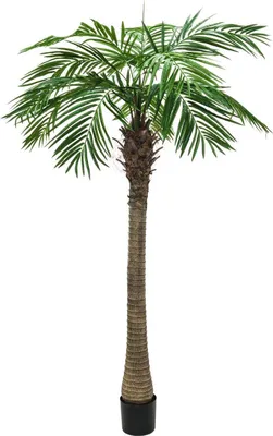 Produktbild von artplants.de Künstliche Phönixpalme, 10 Wedel, 210cm - Deko Palme - Kunstpflanze