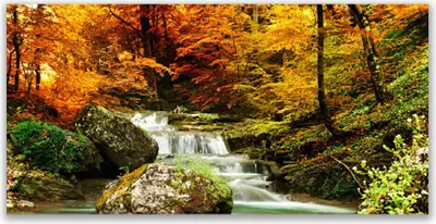 Produktbild von Acrylglasbilder 120x60 Wandbild Druck Wasserfall Wald Natur
