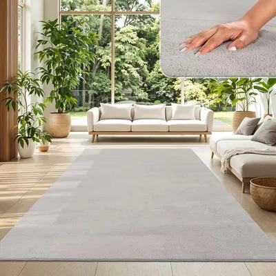 A living room with sofas, plants, and a large rug.