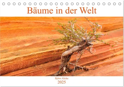 Produktbild von Bäume in der Welt (Tischkalender 2025 DIN A5 quer), CALVENDO Monatskalender