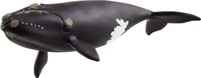 Immagine prodotto di Schleich schleich® WILD LIFE 14878 Nordatlantischer Glattwal 14878
