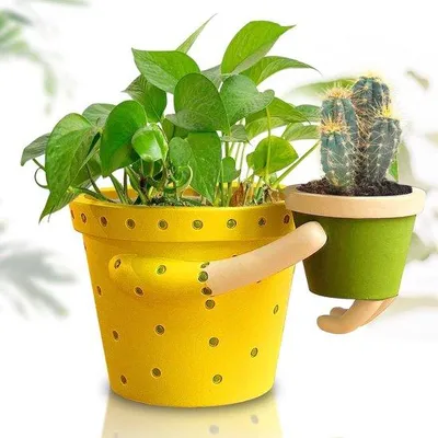 Obrázek produktu pro Malé zelené dekorativní rostliny v keramickém květináči, 13 cm