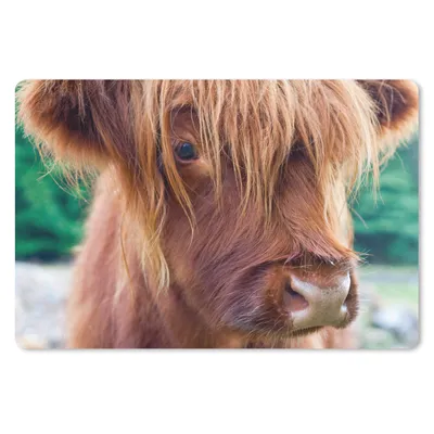Produktbild von MuchoWow® Mauspad Mousepad Schottischer Highlander - Braun - Kalb 27x18 cm - Mousepads - Maus Mat - Pad - Mausunterlage - Büroartikel - Desk Matten