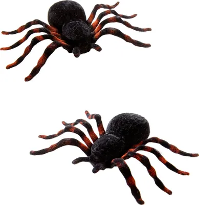 Image de Animaux araignées 10cm/2pcs