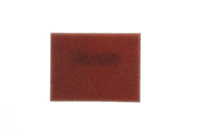 Image de TWIN AIR Luftfilter feuerfest - 154524FR