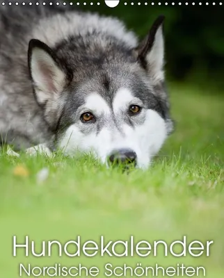 Produktbild von Calvendo Nordische Hunde für das ganze Jahr (Monatskalender, 14 Seiten) 978-3-660-50555-9