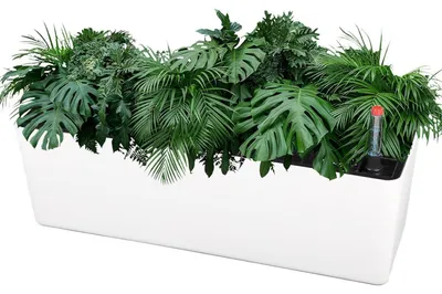 Obrázek produktu pro Samozavlažovací květináč, obdélníkový, 40 cm, s ukazatelem hladiny vody, bílý