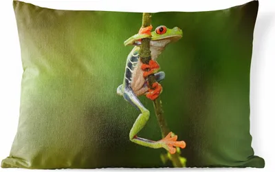 Produktbild von MuchoWow® Outdoor Kissen - Rotaugenlaubfrosch im Dschungel - 50x30 cm - Wetterfest - Lounge Kissen - Sofa kissen - Wohnzimmer Dekoration