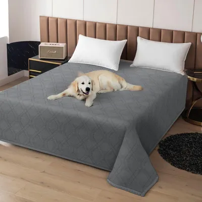 Immagine prodotto di Coperta impermeabile per cani, 172x208 cm, grigia, antiscivolo, lavabile in lavatrice