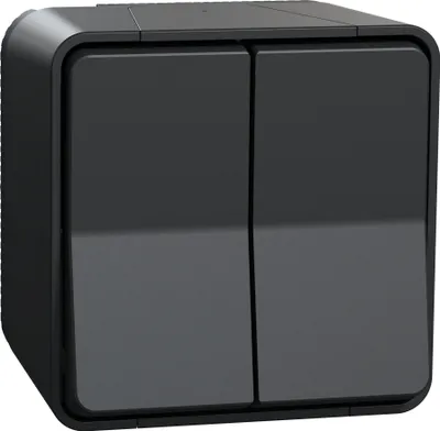 Image de Interrupteur Double Va-et-vient Mureva étanchéité Ip55 En Saillie - Schneider Electric