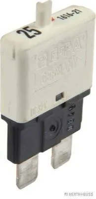 Obrázok produktu pre HERTH+BUSS ELPARTS automatický istič 50295905