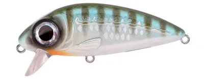 Produktbild von Spro Iris Flanky Hardlure Herring 7,5cm 13g