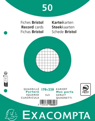 Produktbild von Exacompta 24x 100er Karteikarten - kariert gelocht - 170x220mm - Weiß - 10620E
