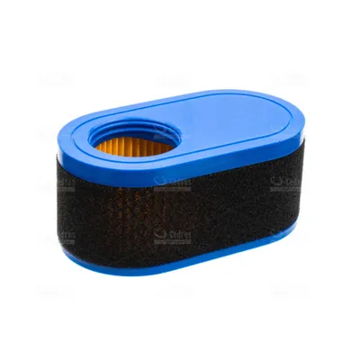 Image de Filtre à air MTD Thorx 4P90 Cub Cadet moteur Zongshen