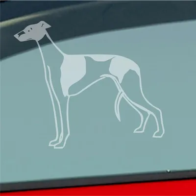 Produktbild von Auto Aufkleber Windhund Hund Dog Animal Tier 12x10 cm Milchglas Sticker Heckscheibenaufkleber