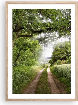 Produktbild von Gerahmtes Poster - Rahmen in heller Eiche - Pfad Natur Wald Grün - 50x70 cm - Wand Bild - Wanddeko - Wandbilder - Wandposter - Bilderrahmen - Bilder - Kunstdruck - Wandbild - P2NPA50x70-2637